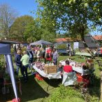 Pflanzenbörse am 26. April 2025 im Kulturbrunnen Algermissen