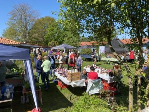 Pflanzenbörse am 26. April 2025 im Kulturbrunnen Algermissen