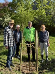 Baumpflanzung 23.04.2026, nomiert von TVE Algermissen